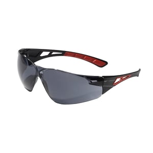 Swiss One Shelter Safety Spectacles Swiss One Shelter Safety Spectacles